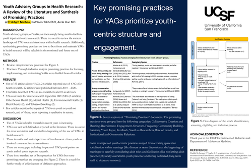 Preview of Youth Advisory Groups in Health Research: A Review of the Literature and Synthesis of Promising Practices