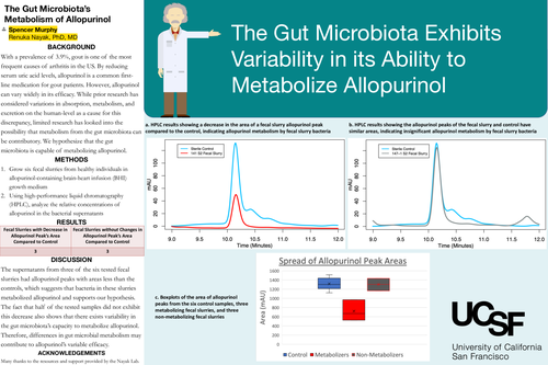 Preview of The Gut Microbiota's Metabolism of Allopurinol