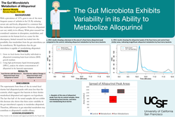 Thumbnail for The Gut Microbiota's Metabolism of Allopurinol