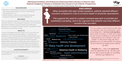 Preview of Identifying Facilitators and Hindrances Influencing Patient Decision to Receive Labor Epidural Analgesia & Timeline of Antenatal Care Concerns From Patients' Perspectives