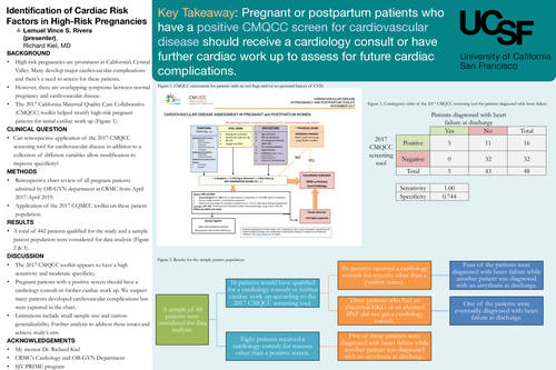 Preview of Identification of Cardiac Risk Factors in High-Risk Pregnancies