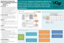 Thumbnail for Identification of Cardiac Risk Factors in High-Risk Pregnancies