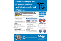 Thumbnail for Tolerance of Awake Procedures (TAP): Examining the Safety, Efficacy, and Perceptions of Awake Esophageal and Airway Dilation