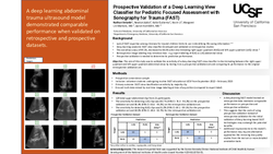Thumbnail for Prospective Evaluation of a Deep Learning View Classifier for Pediatric Focused Assessment with Sonography for Trauma (FAST)