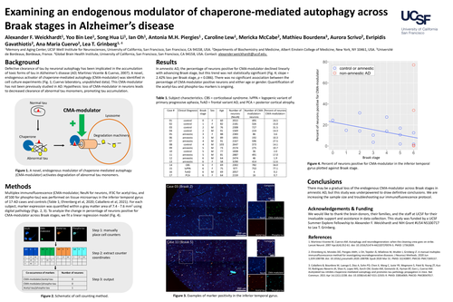 Preview of Chaperone-Mediated Autophagy and Tau Accumulation in Alzheimer's Disease