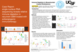 Thumbnail for Immune Depletion in Bevacizumab-treated Glioblastoma