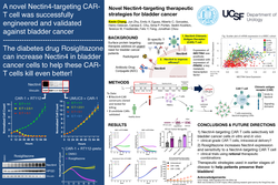 Thumbnail for Modulation of the PPARg pathway to augment NECTIN4 expression and sensitivity to NECTIN4 targeting therapies in bladder cancer