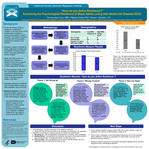 Preview of Resilience? Perspectives from Adults Living with Sickle Cell Disease