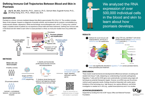 Preview of Defining immune cell trajectories between blood and skin in psoriasis