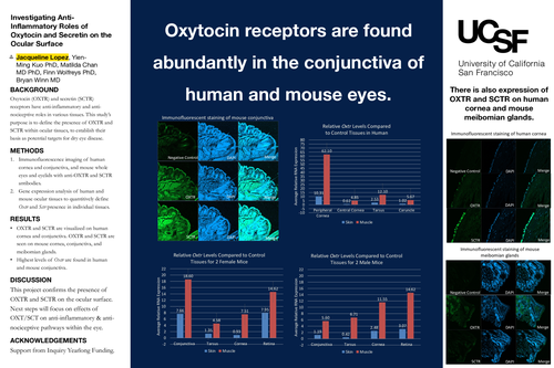 Preview of Investigating Anti-Inflammatory Roles of Oxytocin and Secretin on the Ocular Surface