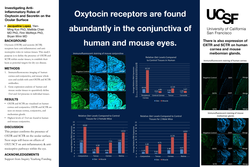 Thumbnail for Investigating Anti-Inflammatory Roles of Oxytocin and Secretin on the Ocular Surface