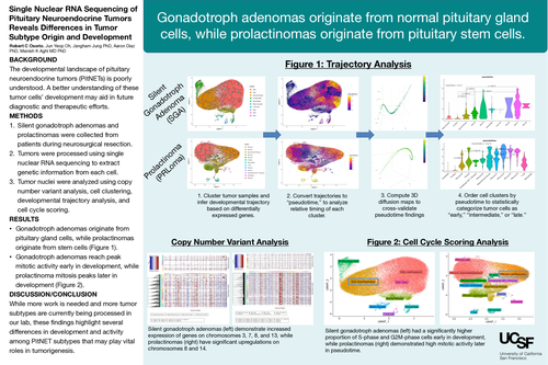 Preview of Single Nuclear RNA Sequencing of Pituitary Neuroendocrine Tumors Reveals Differences in Tumor Subtype Origin and Development