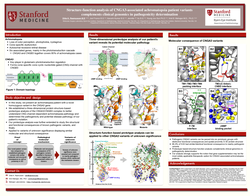 Thumbnail for Structure-function analysis of CNGA3-associated achromatopsia patient variants complements clinical genomics in pathogenicity determination