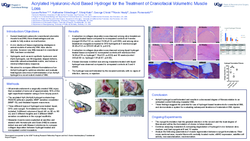 Thumbnail for Acrylated Hyaluronic-Acid Based Hydrogel for the Treatment of Craniofacial Volumetric Muscle Loss