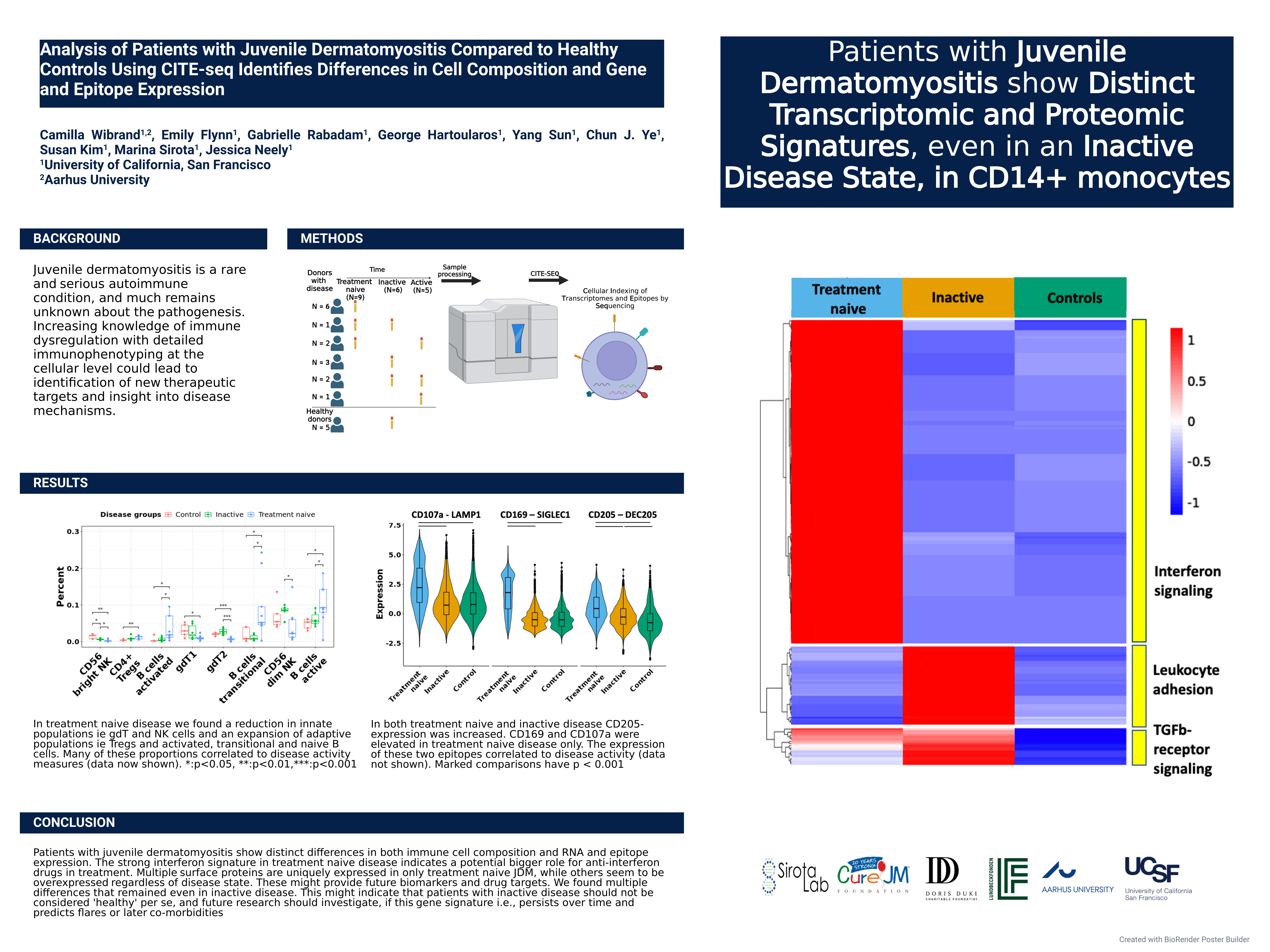 Thumbnail for Analysis of Patients with Juvenile Dermatomyositis Compared to Healthy Controls Using CITE-seq Identifies Differences in Cell Composition and Gene and Epitope Expression