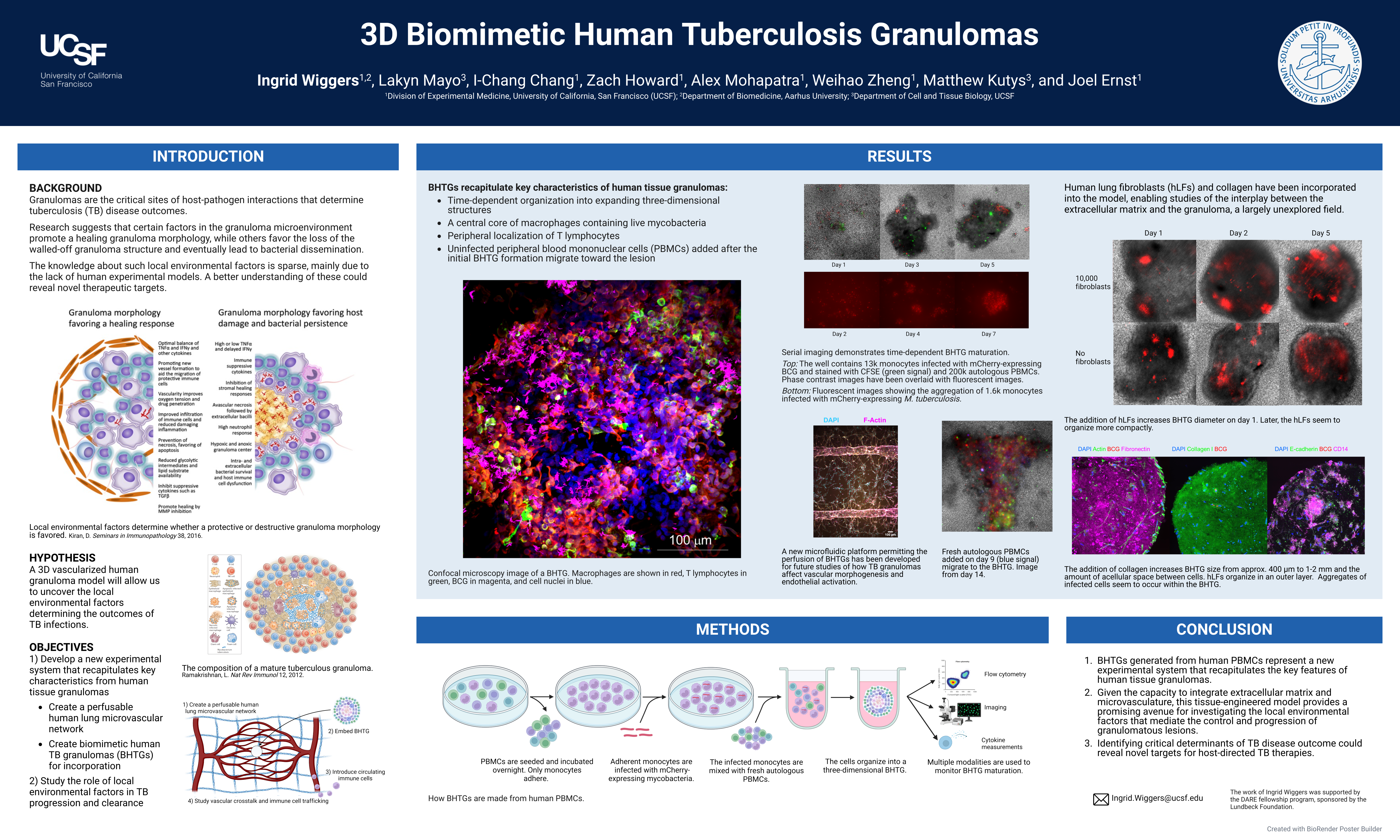 Thumbnail for Biomimetic Human Tuberculosis (TB) Granulomas: One Step Closer to Unravelling TB Immunopathogenesis?