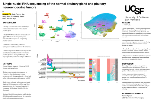 Preview of Single-nuclei sequencing of the normal pituitary gland and pituitary neuroendocrine tumors