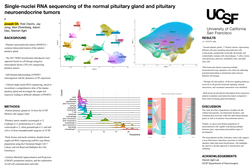 Thumbnail for Single-nuclei sequencing of the normal pituitary gland and pituitary neuroendocrine tumors