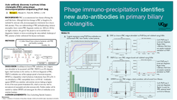 Thumbnail for Auto-antibody discovery in primary biliary cholangitis (PBC) using phage-immunoprecipitation sequencing (PhIP-seq)