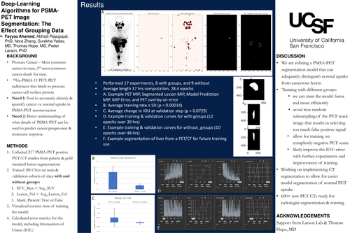 Preview of Deep-Learning Algorithms for PSMA-PET Image Segmentation: The Effect of Grouping Data