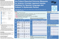 Thumbnail for Are Patient-Reported Outcome Measures for Anterior Cruciate Ligament Injuries Validated for Spanish Language and Culture? A Systematic Review