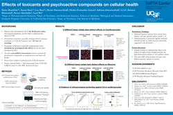 Thumbnail for Effects of toxicants and psychoactive compounds on cellular health