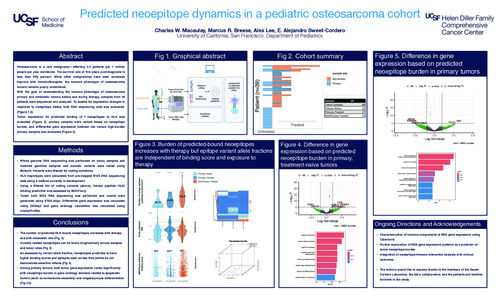 Preview of Dynamics of predicted tumor neoepitope presentation in osteosarcoma