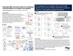 Thumbnail for Switchable AML cell model system for investigating chemical inhibitors of oncogenic Ras signaling