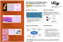Thumbnail for ASO Treatment of CLN7 Batten Disease: Neuropathology of Unique N=1 Trial