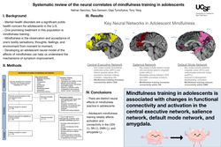 Thumbnail for Systematic review of the neural correlates of mindfulness training in adolescents