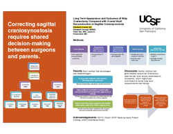 Thumbnail for Long-Term Appearance and Outcomes of Strip Craniectomy Compared with Cranial Vault Reconstruction in Sagittal Craniosynostosis