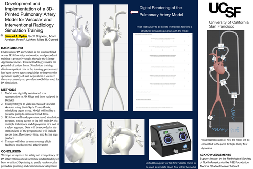 Preview of Development and Implementation of a 3D-Printed Pulmonary Artery Model for Vascular and Interventional Radiology Simulation Training