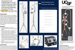 Thumbnail for Development and Implementation of a 3D-Printed Pulmonary Artery Model for Vascular and Interventional Radiology Simulation Training