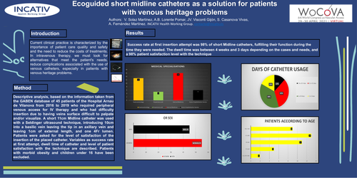 Preview of Ecoguided short midline catheters as a solution for patients with venous heritage problems