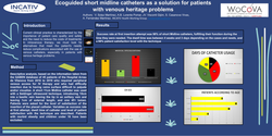Thumbnail for Ecoguided short midline catheters as a solution for patients with venous heritage problems