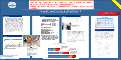 Preview of Central and periferic venous access devices in uncooperative patients with severe acquired brain injuries. Efficacy, complication and failures of bedside ultrasound-guided positioning with two operators