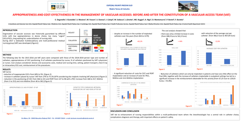 Preview of Appropriateness and cost-effectiveness in the management of vascular accesses: before and after the constitution of a Vascular Access Team (VAT)