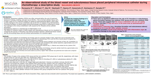 Preview of An observational study of the blood vessel and subcutaneous tissue placed peripheral intravenous catheter during chemotherapy: a descriptive study
