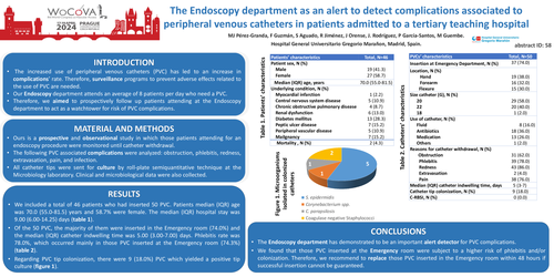 Preview of The Endoscopy Department as an alert to detect complications associated to peripheral venous catheters in patients admitted to a tertiary teaching hospital