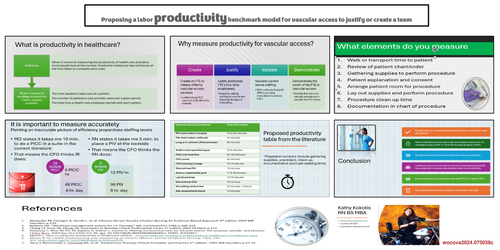 Preview of Proposing a labor productivity benchmark model for vascular access to justify or create a team