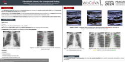 Thumbnail for Fibroblastic sleeve: the unexpected finding